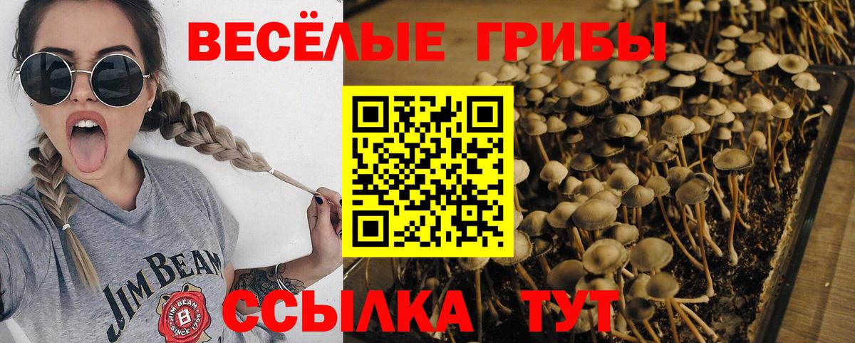 Псилоцибиновые грибы ЛСД  Галлюциногенные грибы Magic Shrooms  Гай  Вход с VPN 