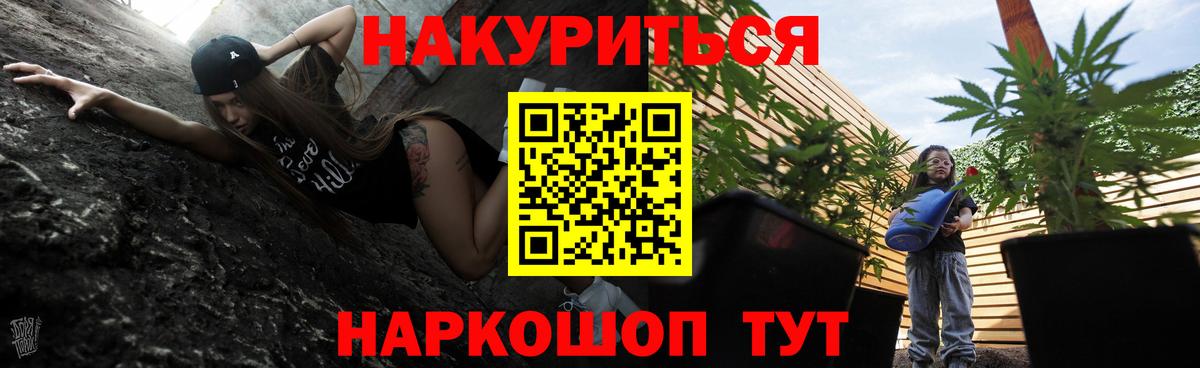 Марихуана VHQ  Каннабис Bruce Banner  Гай  Вход с VPN  Бошки Шишки марихуана  Бошки Шишки Ganja 
